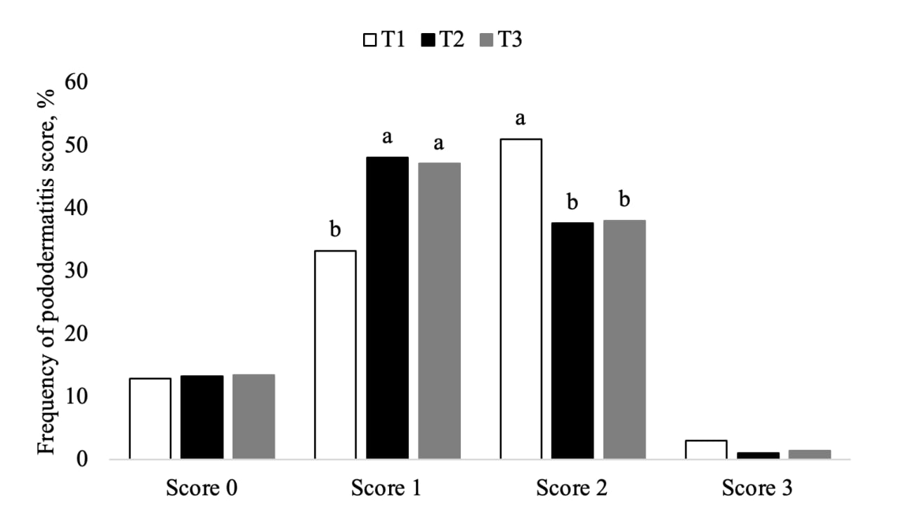 Figure 1. Frequency of pododermatitis scores (0 to 4) from turkey poults fed Balancius® from hatch to d 56 of age. 