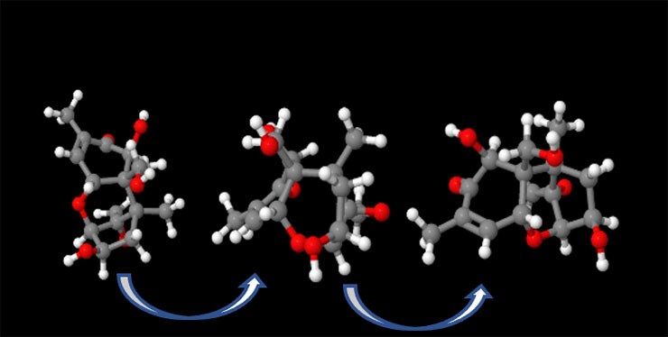 Figure 1b: DON - Polarity, functional groups but no planarity! (Image source, ChemSpider SyntheticPages, 2001, http://cssp.chemspider.com/123)