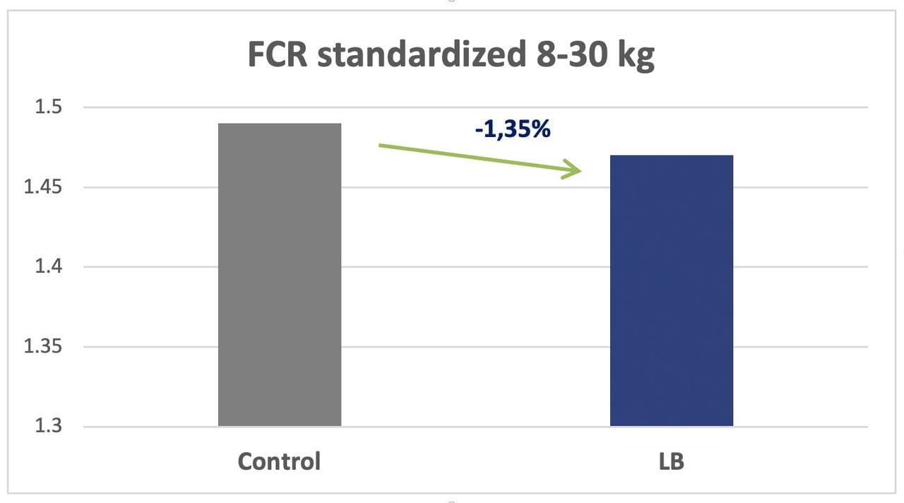 Figure 2: Evolution of the standardized FCR at 8-30 kg in weaned piglets fed with Lactobacillus LB (dsm-firmenich internal data).