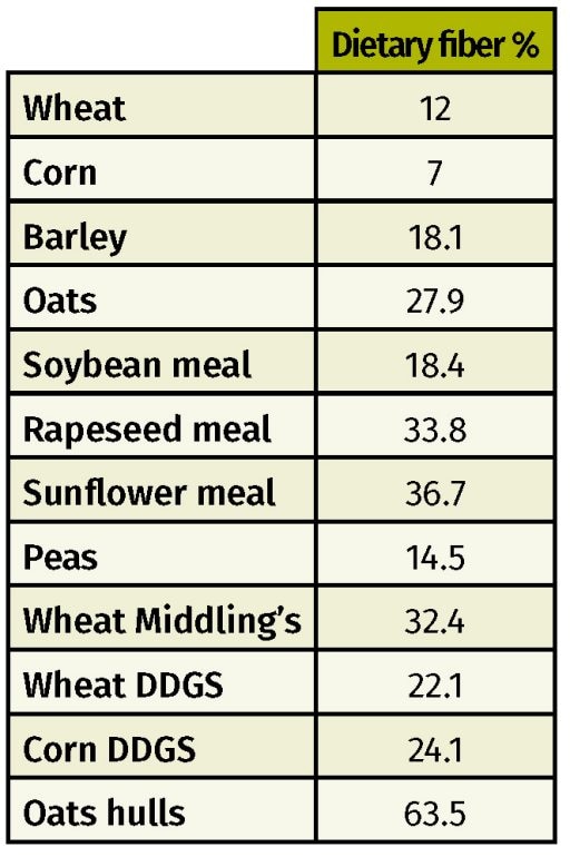 Managing fiber better in feed formulation – essential for sustainable ...