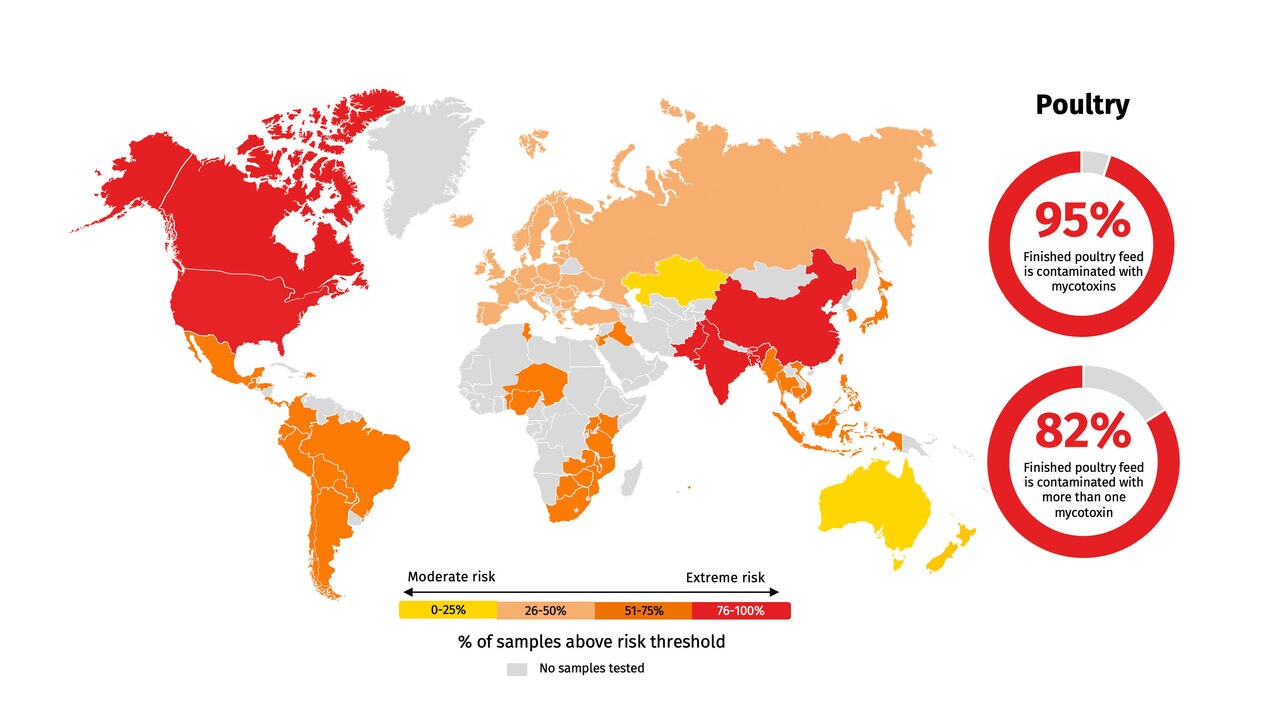 Worldwide presence of mycotoxins based the dsm-firmenichWorld Mycotoxin Survey published in 2023.