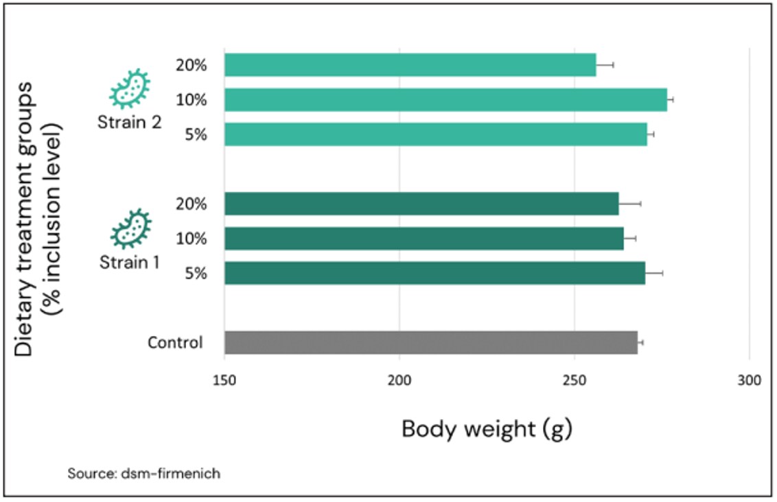 Figure 5. The effect of single cell protein inclusion on the growth performance of rainbow trout. Source: dsm-firmenich.