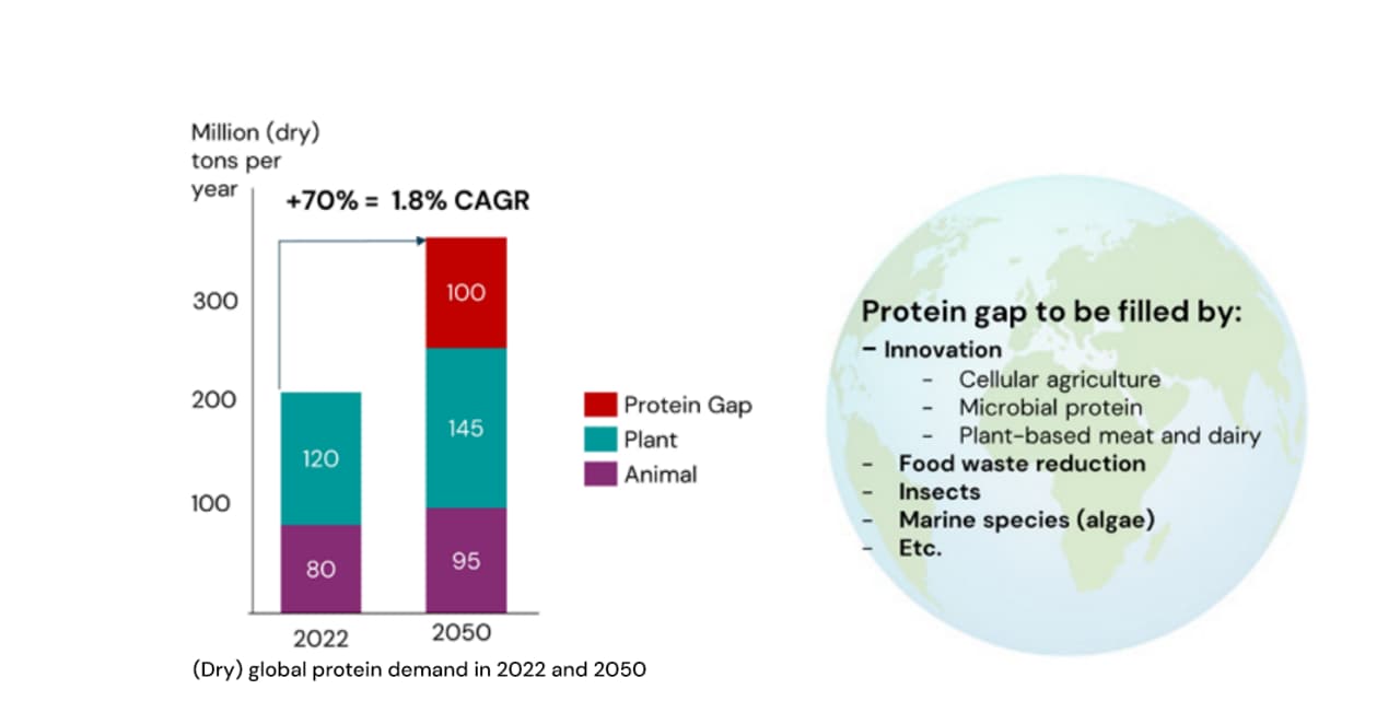Figure 1. (Dry) protein demand in 2022 and 2050