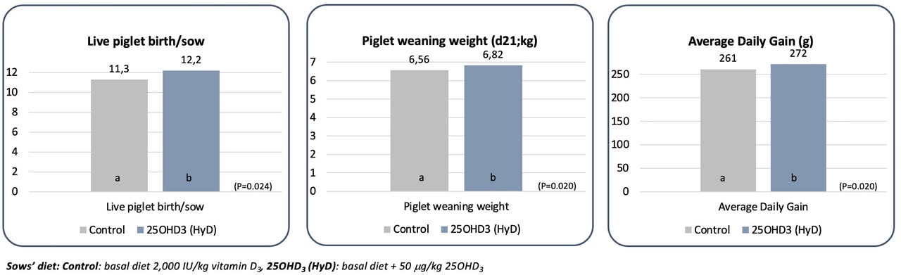 Figure 4. Effect of 25OHD3 (HyD®) in sows’ gestation and lactation diet on performance parameters of pre-weaning piglets (Source: Upadhaya et al., 2022)