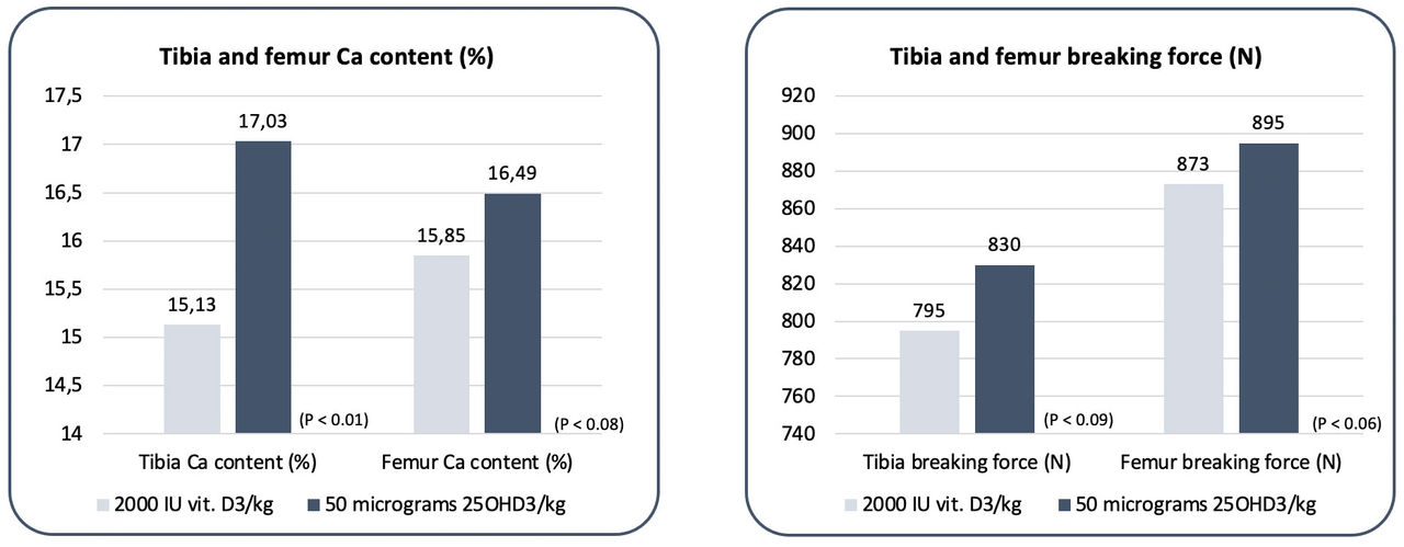 Figure 6. Effect of 25OHD3 (HyD®) in sows’ gestation and lactation diet on bone mineral content and bone strength parameters of pre-weaning piglets (Source: Zhang et al., 2019)