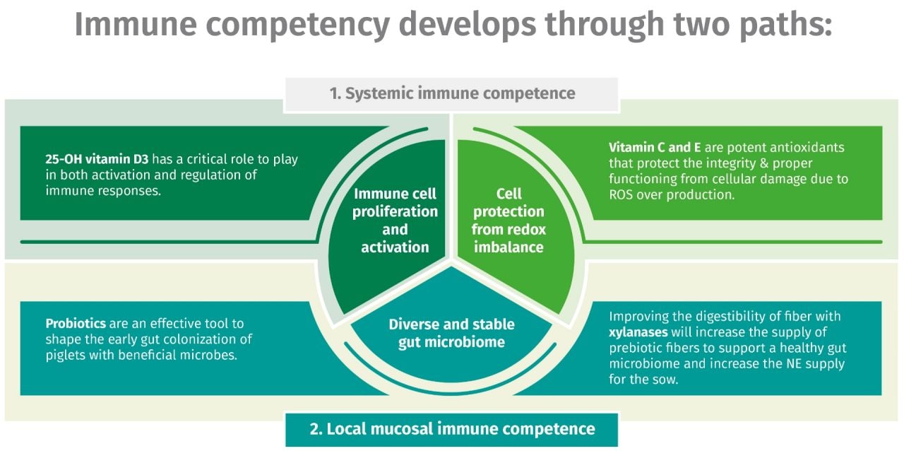 Immune competency diagram