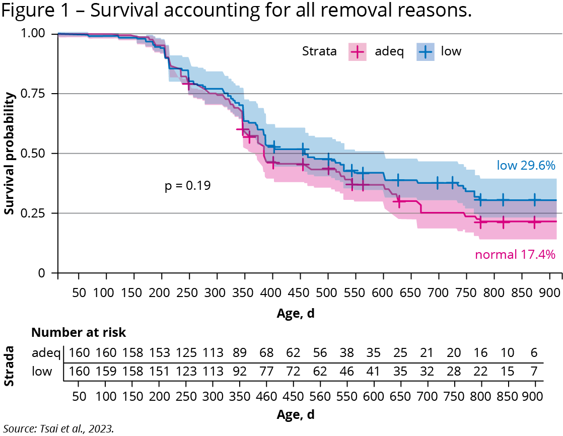 Figure 1: Survival accounting for all removal reasons