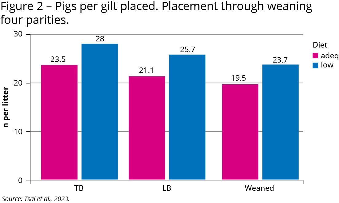 Figure 2: Pigs per gilt placed. Placement through weaning four parities