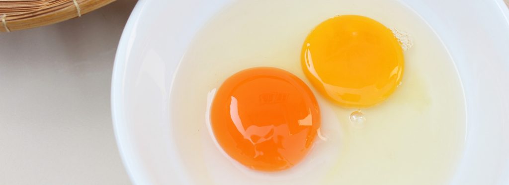 The Evolution Of The Yolkfan As The Standard For Measuring Poultry Pigmentation