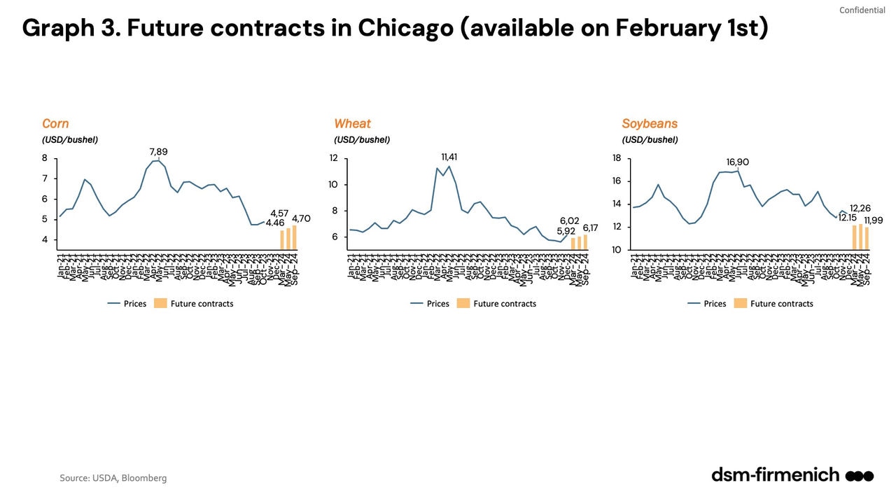 Graph 3. Future contracts in Chicago (available on February 1st)
