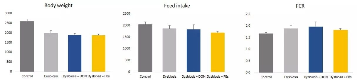 Figure 4. Performance parameters in day 39 of broiler chickens fed either a negative control, dysbiosis control, DON contaminated dysbiosis or a FB1 contaminated dysbiosis diet. Bars represent means for the 7 replicates (pens) per treatment ± SD. Within the same period, bars with different letters (a-b) differ significantly (P ≤ 0.05). (Source: Antonissen et al., 2018)