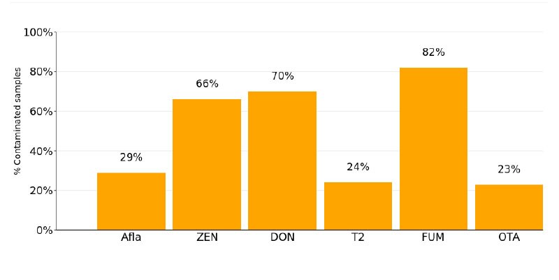 Figure 2. Mycotoxin occurrence in 33,000 poultry finished feed, showing the % of positive samples for each mycotoxin (Source: dsm-firmenich World Mycotoxin Survey)