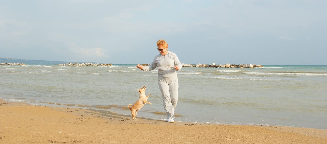 Adult woman on the background of the sea playing with the dog. Senior woman in tracksuit enjoying life. Fitness and walking outdoors near the sea and the beach. Lifestyle adult retired.