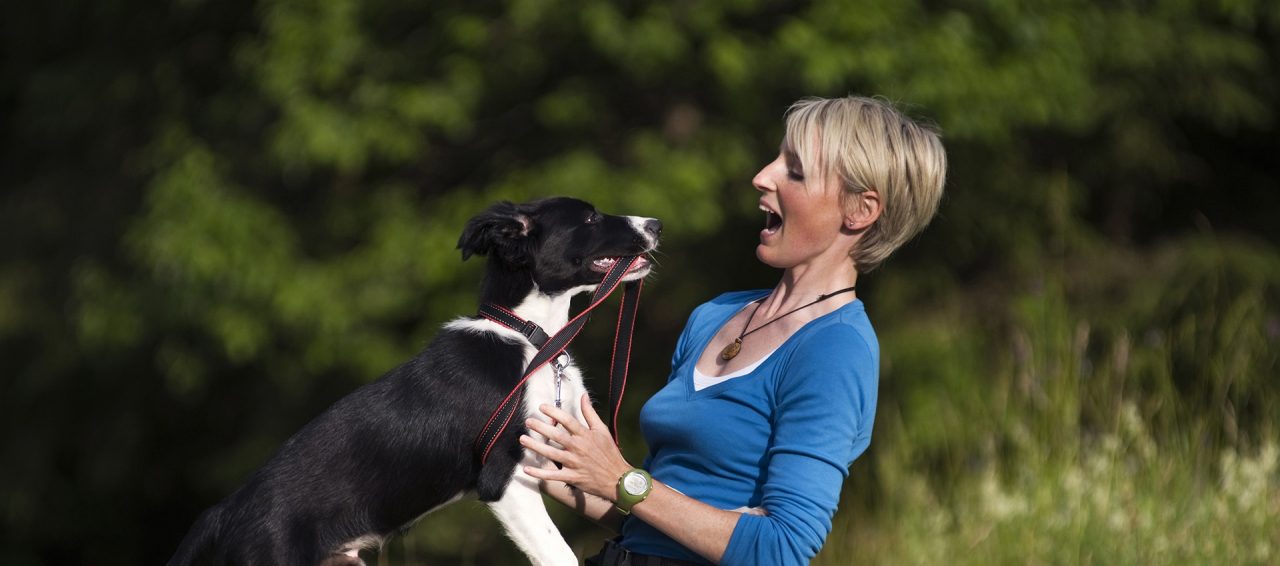 Young woman playing with border collie dog outdoor