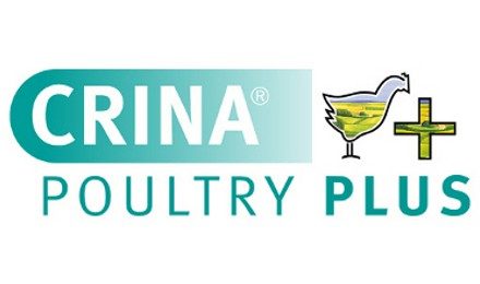 poultry plus