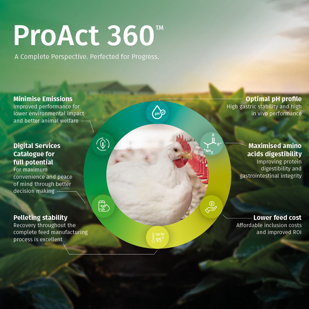 ProAct 360