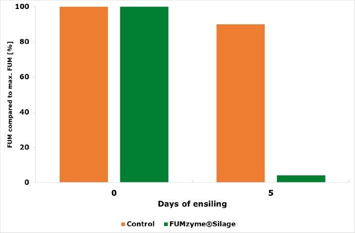 Degradation-of-fumonisins-in-corn-silage