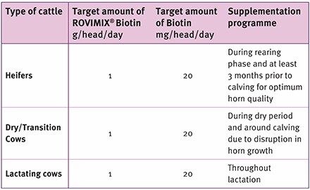 ROVIMIX® Biotin Supplementation Guidelines for Dairy Cattle