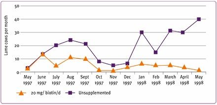 ROVIMIX® Biotin improves horn quality