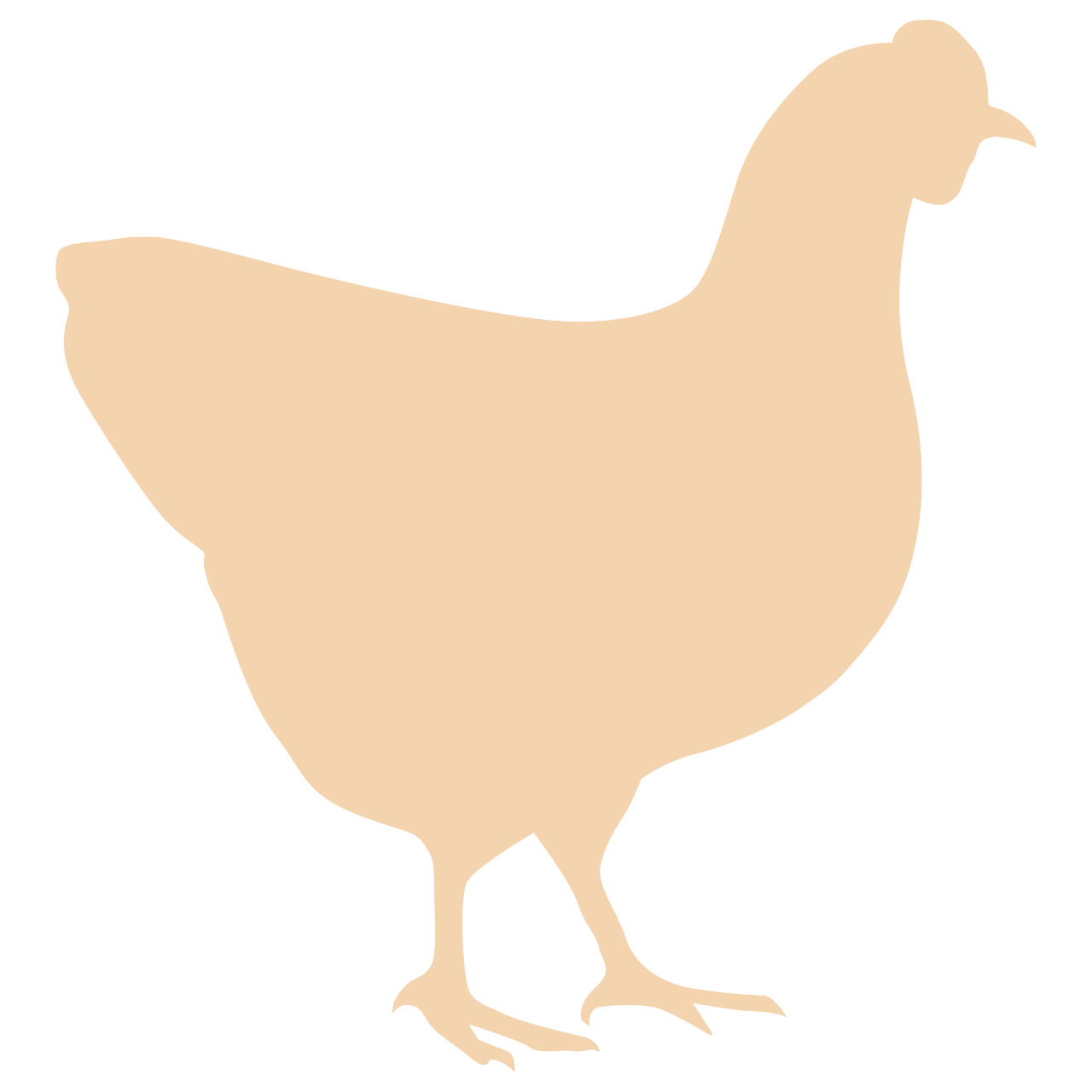 Poultry: Moderate risk
