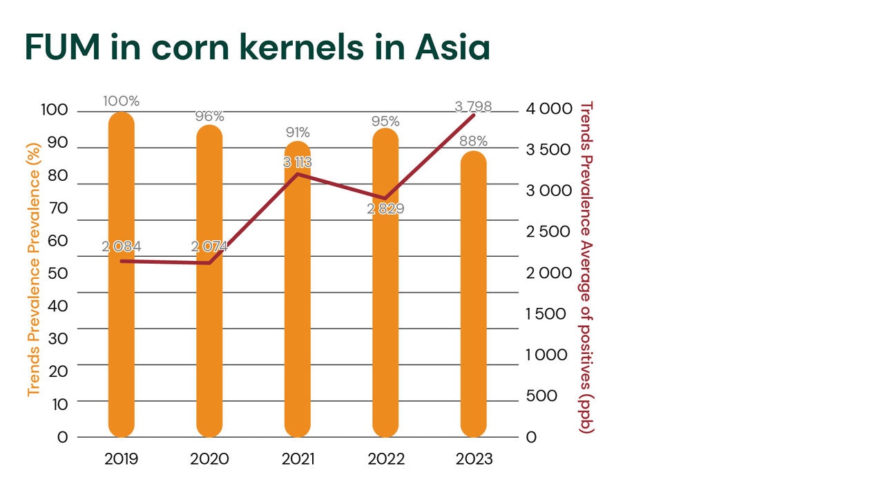 Trends in Asia: FUM in corn kernels