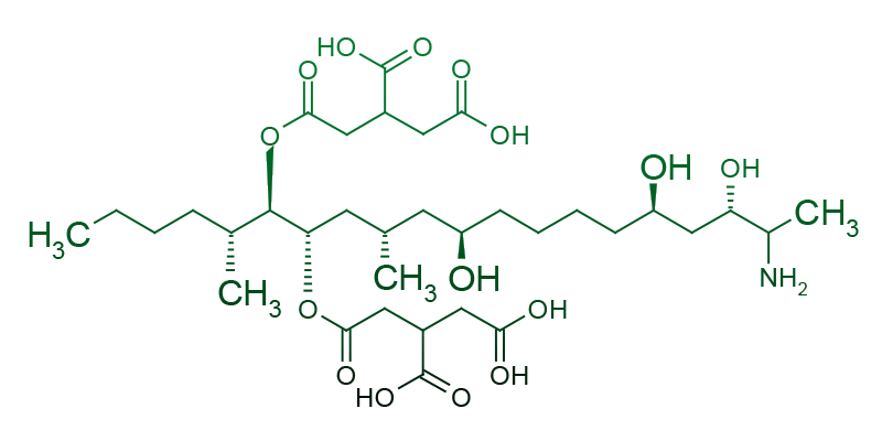 Fumonisina-B1