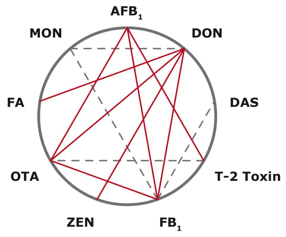 Efeitos-sinérgico-aditivos-porcos