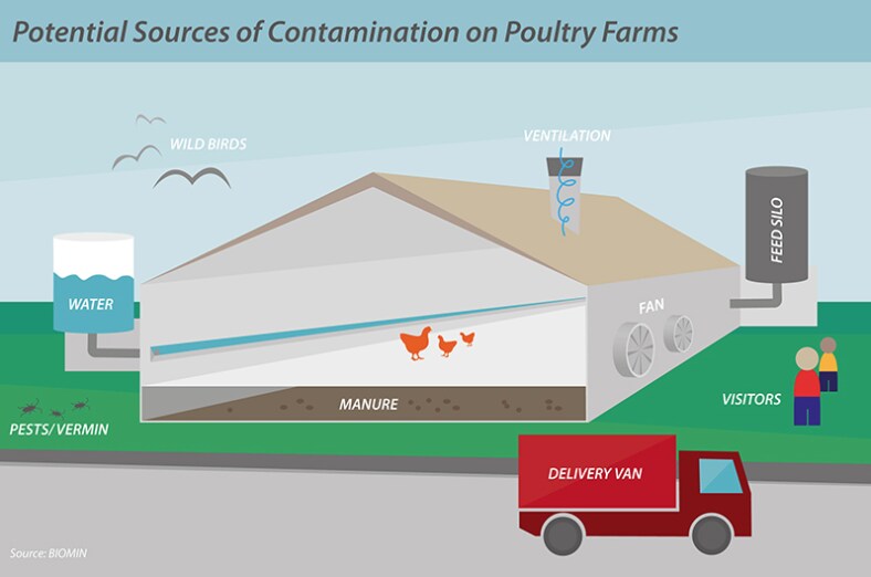 Fig3_Fontes_potenciais_de_contaminação_em_fazendas_de_frango