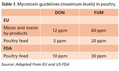 Tabela-1-Diretrizes-de- Micotoxina-_níveis máximos_-em-aves