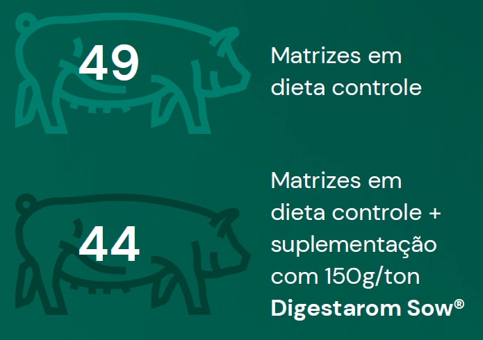 49 Matrizes em dieta controle e 44 Matrizes em dieta controle + suplementação com 150g/ton Digestarom Sow®