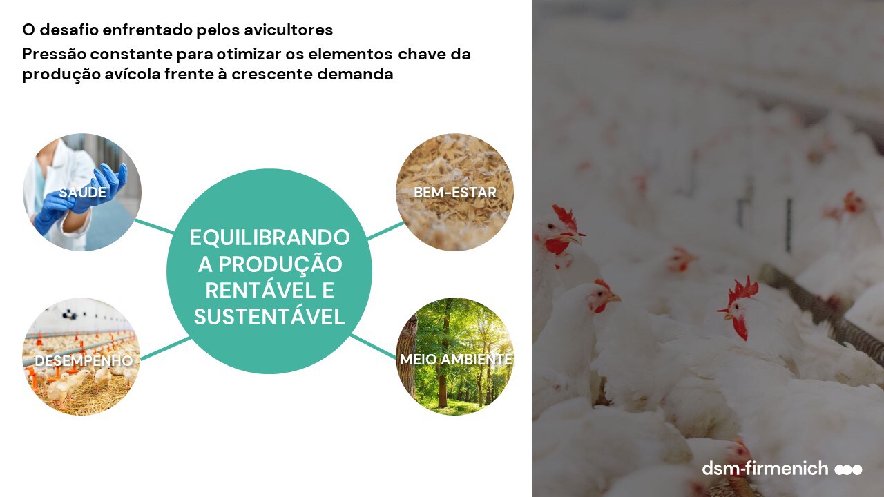 Equilibrando a produção rentável e sustentável