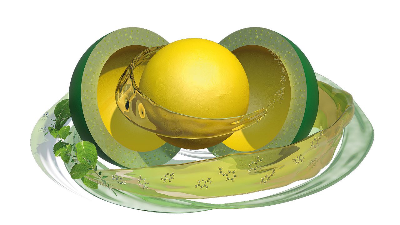 Biomin® Duplex Capsule