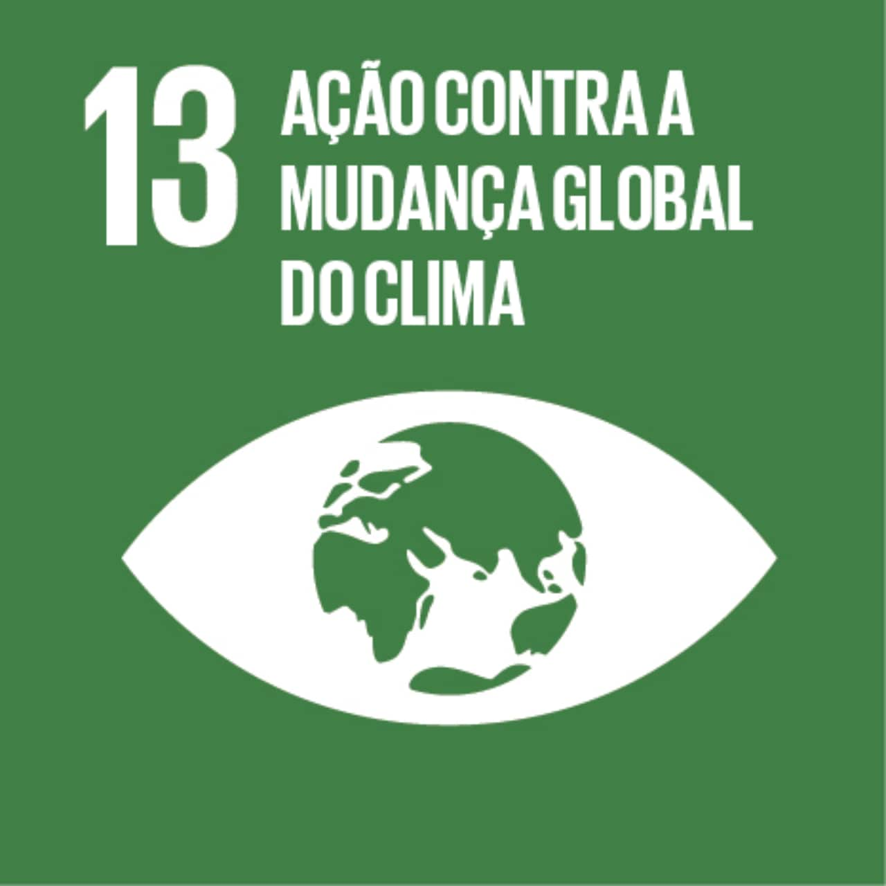 Imagem que representa o ODS número Treze - Ação contra a mudança global do clima, com fundo verde e o ícone de um olho com o globo terrestre no centro.