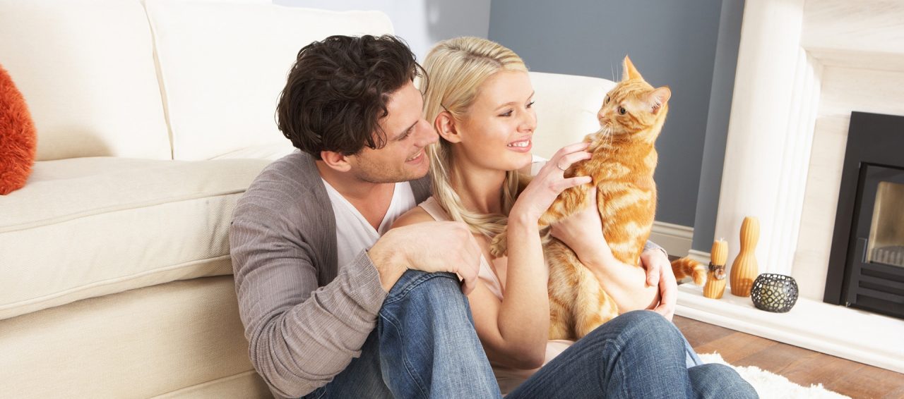 Couple Taking Playing With Pet Cat At Home