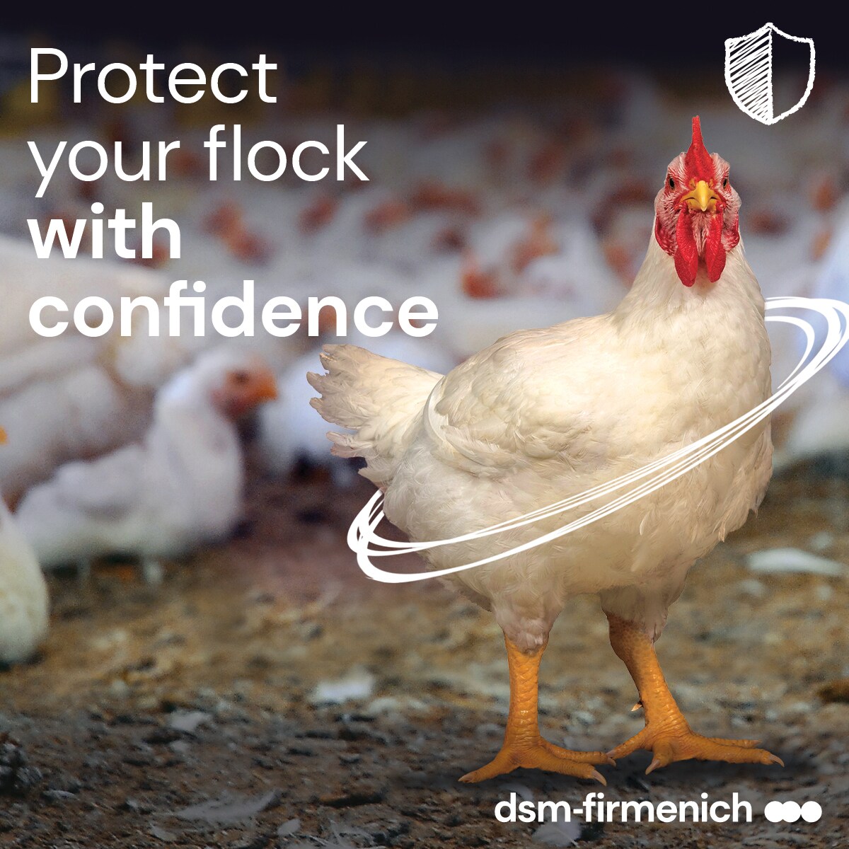 Protect your flock with confidence