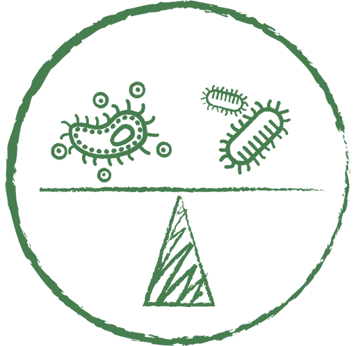 Antibiotic Growth Promotor Management