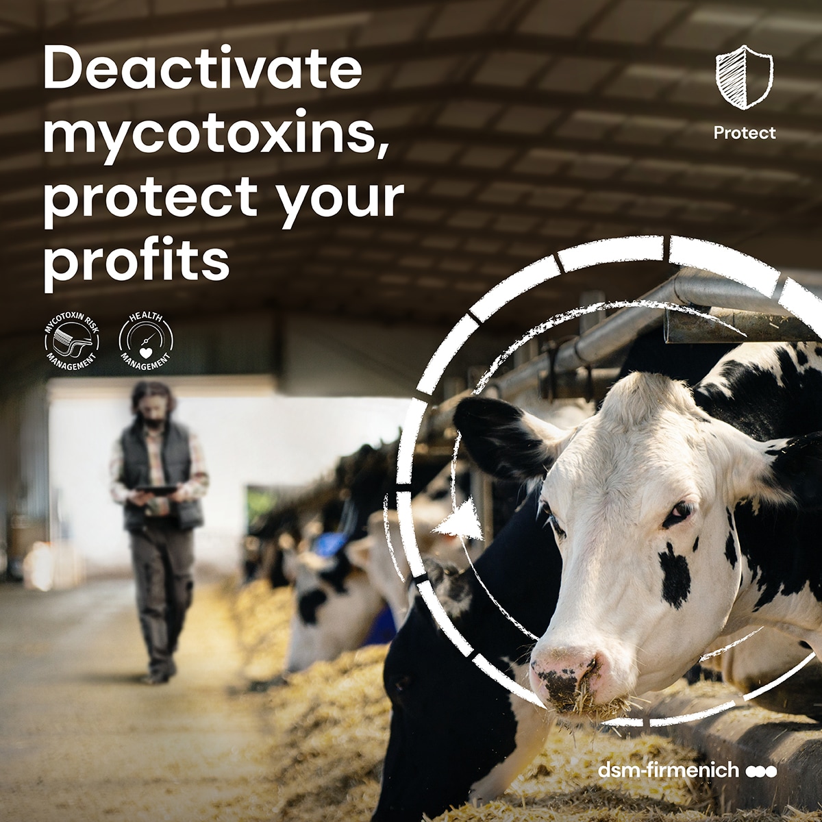 Deactivate mycotoxins, protect your profits