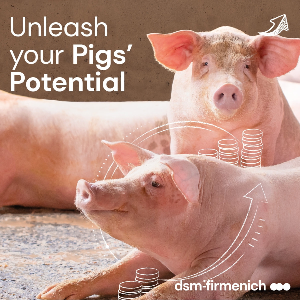 Unleash your pig's potential
