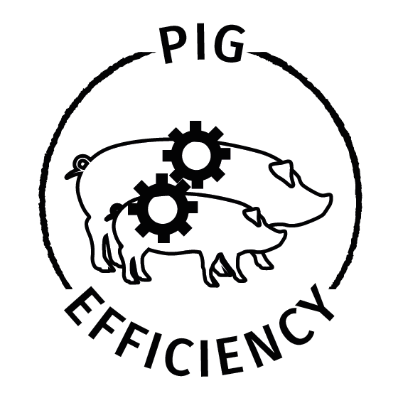 Pig Efficiency