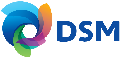 DSM Logo