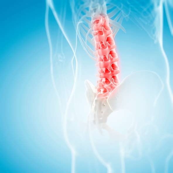 Back to Basics: The Impact of B-Vitamins on Low Back Pain