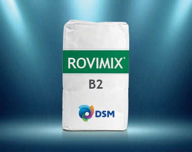 Spotlight on Rovimix® B2, AKA Riboflavin