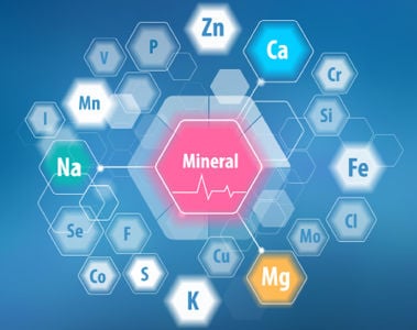 Trace Mineral Sources from a Premixer’s Perspective