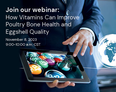 Webinar: How vitamins can improve poultry bone health and eggshell quality