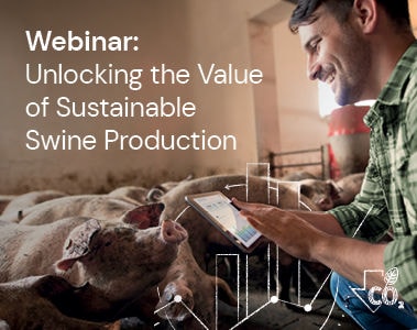 Webinar: Unlocking the Value of Sustainable Swine Production