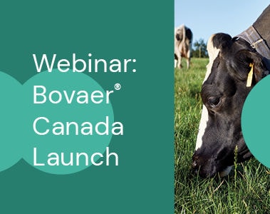 Webinar: Bovaer Canada Launch