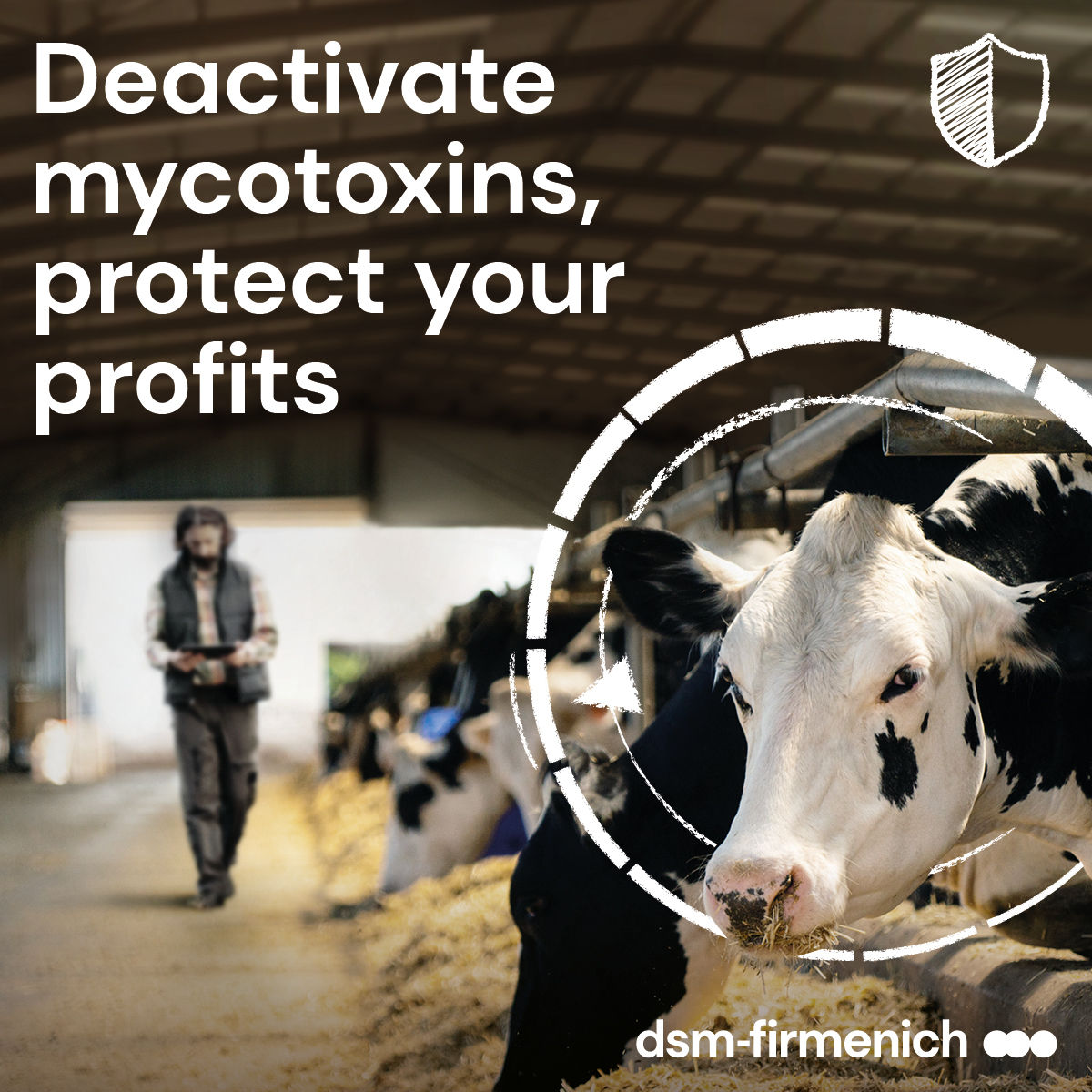 Webinar: Silent but Harmful: Why can’t we afford overlooking mycotoxins?