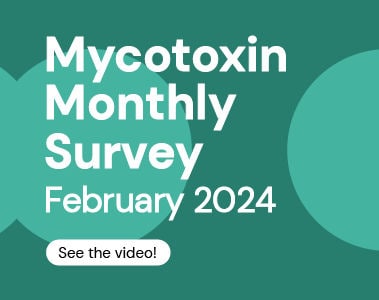 Mycotoxin Survey Monthly Update: February 2024
