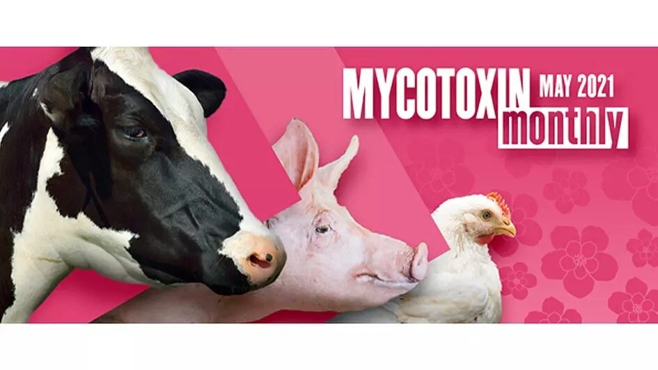 Mycotoxin Survey in US and Canada: May 2021 Update