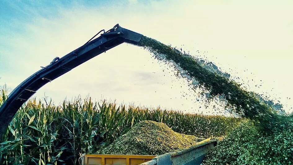 Mycotoxin Survey in US Corn Silage Update: April 2021 Update